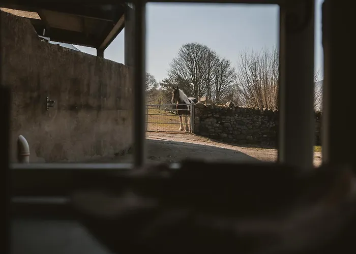 Highside Farm